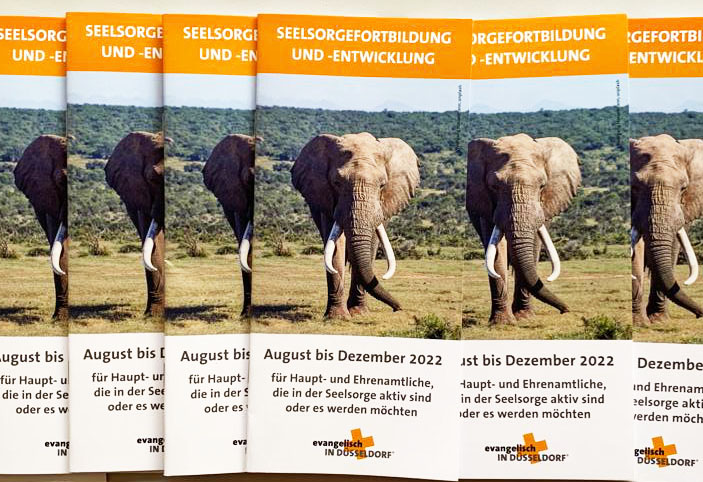 Das neue Programm der Seelsorgefortbildung und -entwicklung - August bis Dezember 2022 - für Haupt- und Ehrenamtliche, die in der Seelsorge aktiv sind oder es werden möchten.